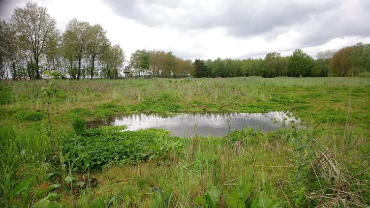 Aufforstung Otter - Senke mit Wasser, Roggen, Anpflanzung © Landkreis Harburg