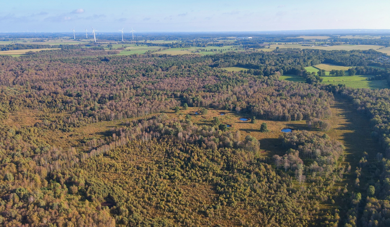 Großes Everstorfer Moor im Herbst © Niels Vollmers / Landkreis Harburg
