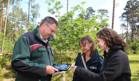 Bezirksförster Torben Homm, Silke Hiller und Katharina Wiese ziehen eine positive Bilanz für die Entwicklung des Hirschkäferwaldes.