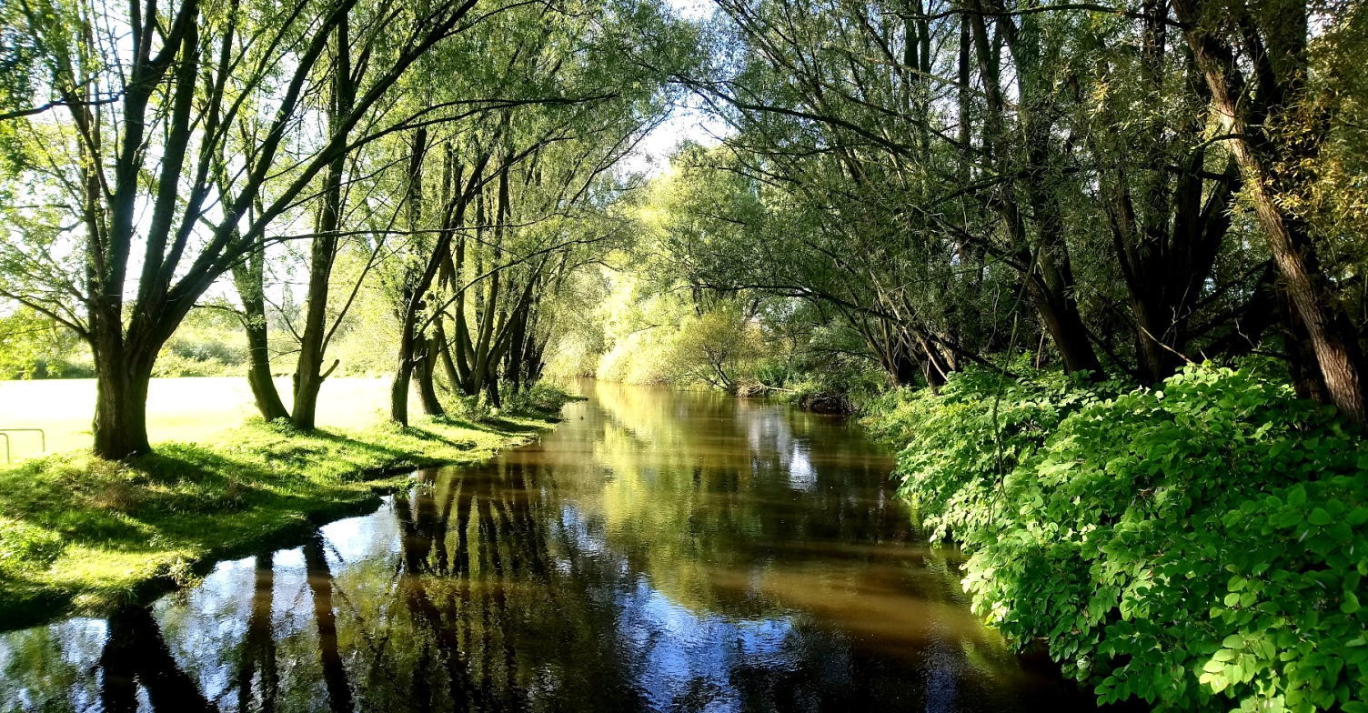 Luhe im Landschaftsschutzgebiet Luhe und Nebengewässer © Landkreis Harburg